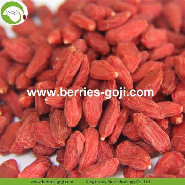 Factory Supply Dried Ningxia Wolfberry