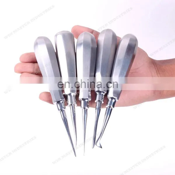 Dental Elevator/dental Root Elevator