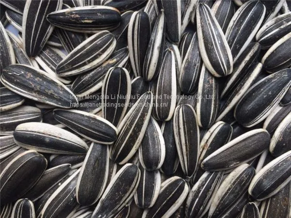 Sunflower Seeds photo-3