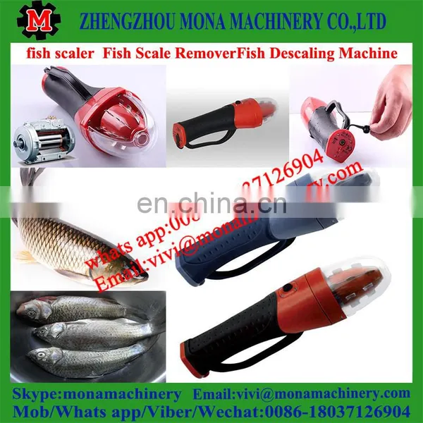 Fish Scale Remover|Fish Scale Removing Machine|Automatic Fish Scale Removing Machine photo-6