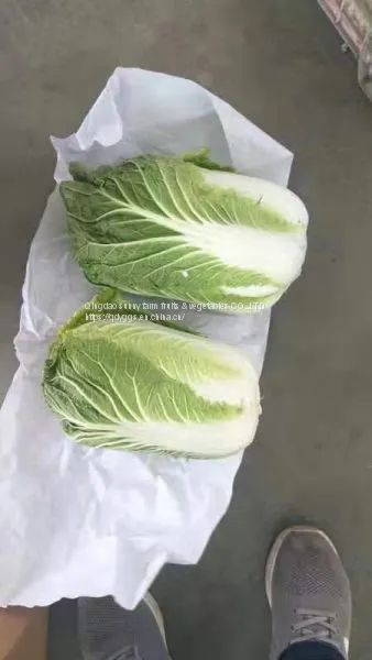 Chinese Cabbage photo-2