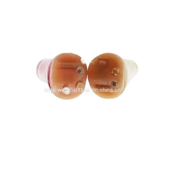 CIC Hearing Aids /BTE Hearing Aids Intended for Mild to Moderate Hearing Loss
