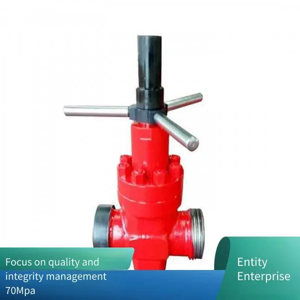 Soft-sealed Mud Gate Valve Z23x-350 Dn65, Special Valve for Oil Fields, Imported Valve, Water Injection Valve photo-4
