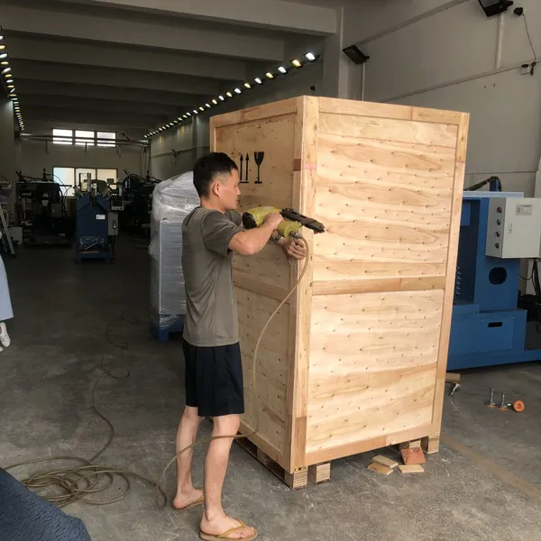 Semi-Automatic Sheet Metal Hairline Polishing Machine Heavy Duty Belt Grinder for Steel Plate photo-5