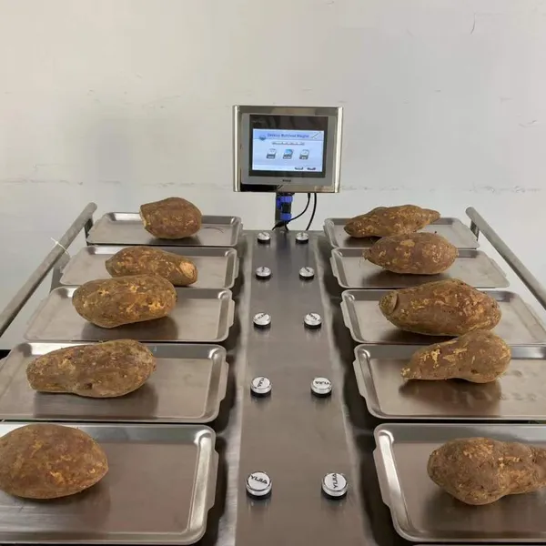 Manual 12 Heads 14 Heads Weighing Scale for Banana Apple Mango Fruit photo-4