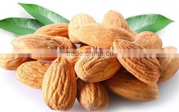 Factory Supply Almond