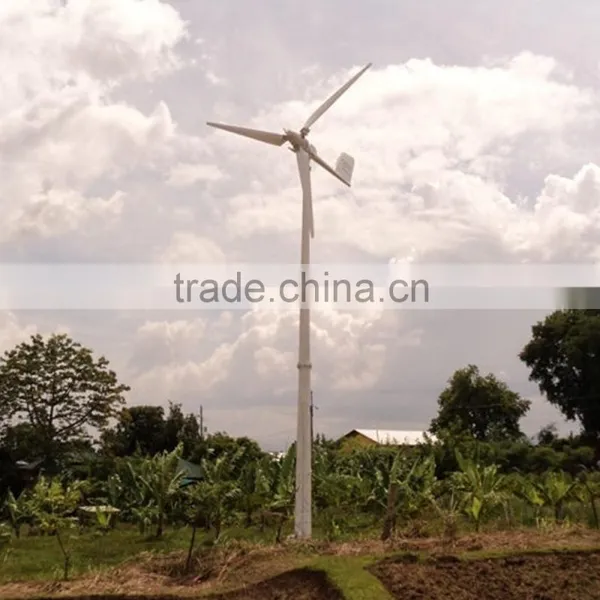 Horizontal Wind Turbine 3kw 48v off Grid System, Wind Energy Generator 3kw Wind Power