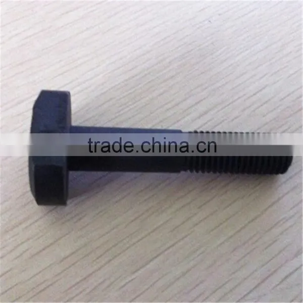 Good Quality Stainless Steel t Bolt photo-3