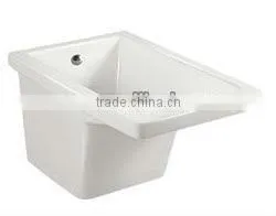 Sanitary Ware Ceramic Bathroom Washtub