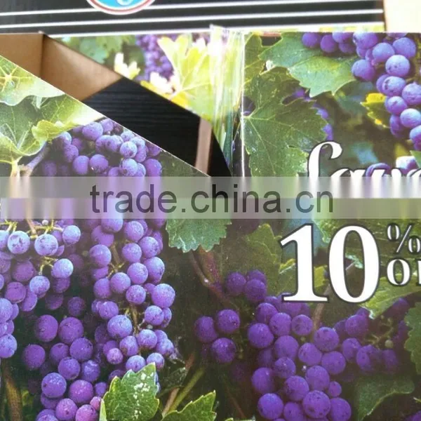 A Six Pack Beer Box For Hot Sale,Packing Carton Box With Offset Printing photo-5