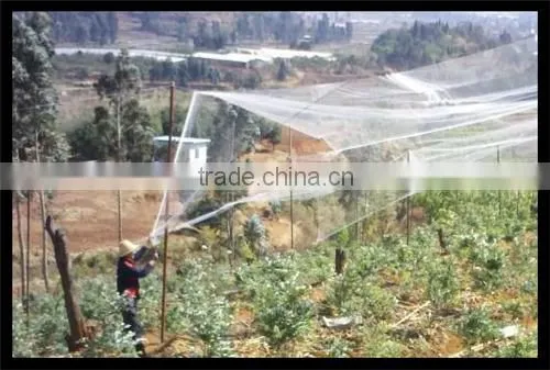 Anti-bird Netting photo-3