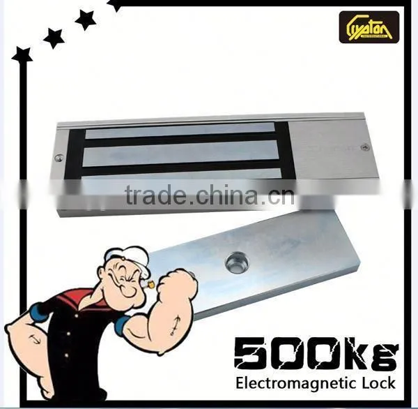 Electric Door Locks With Timer photo-2