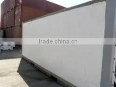 20' Refrigerated Container