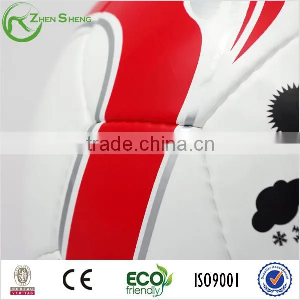 Zhensheng Brillant Soccer Ball Official Size photo-2