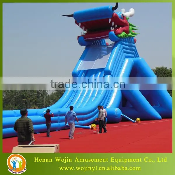 Giant Inflatable Water Slide for Adult photo-4