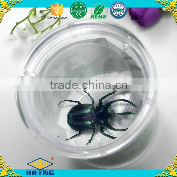 Factory Cheap Magnifier Educational Kit Insect Viewer photo-5