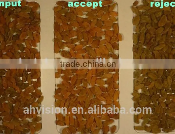 Dried Fruit Sorting Machine Melon Seeds Color Sorter photo-5