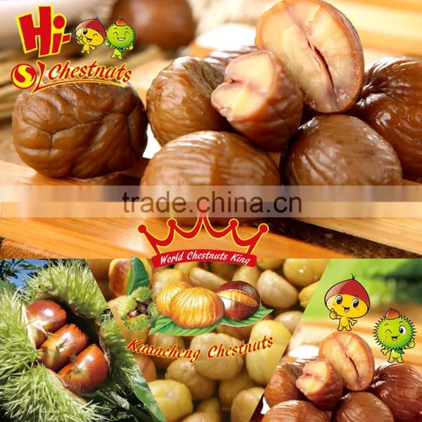 Natural Taste Nut and Kenel Snacks--Ready to Eat Chestnuts Snacks photo-3