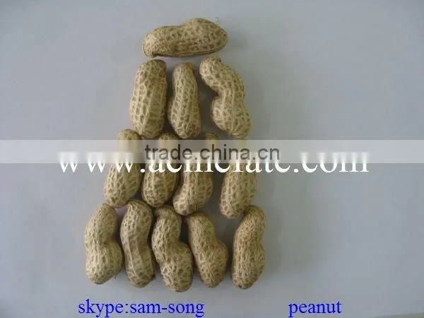 Delicious Organic Taste Peanut in Shell photo-5