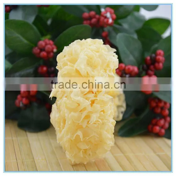 Dried White Jelly Fungus