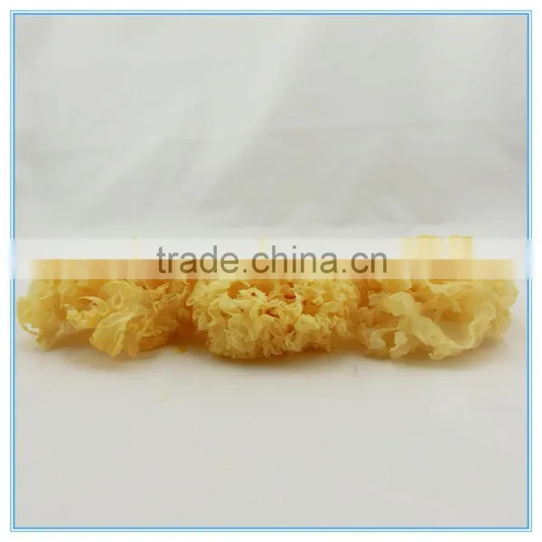Wholesale Dried Tremella Fuciformis White Fungus