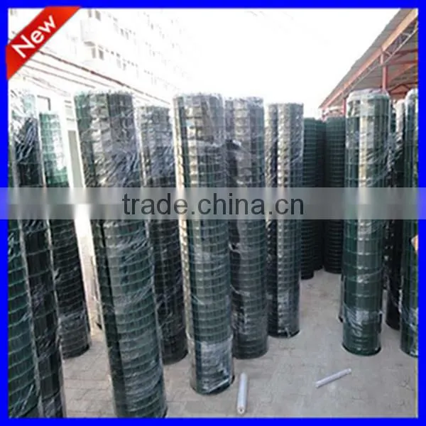 DM Factory Price Euro Fence at High Quality photo-2