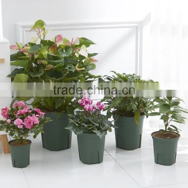 Green Vegetable Garden Decorative Tomato Modern Balcony Planter photo-3