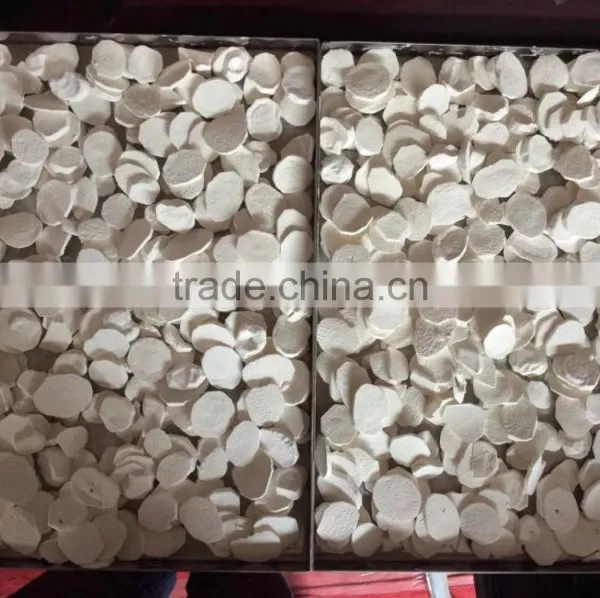 TPV-30F Oil Heated Drying Vacuum Freeze Dryer for Fruit Food Meat photo-3