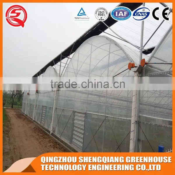 China Aluminum Profile Tunnel Greenhouse Agriculture for Vegetable photo-4