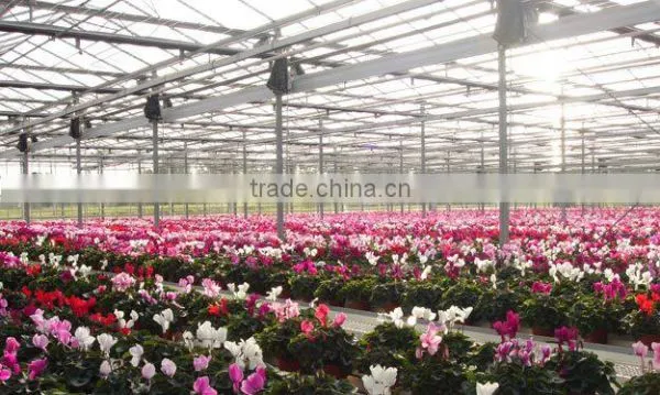 Polycarbonate Sheet Greenhouse-2 photo-5