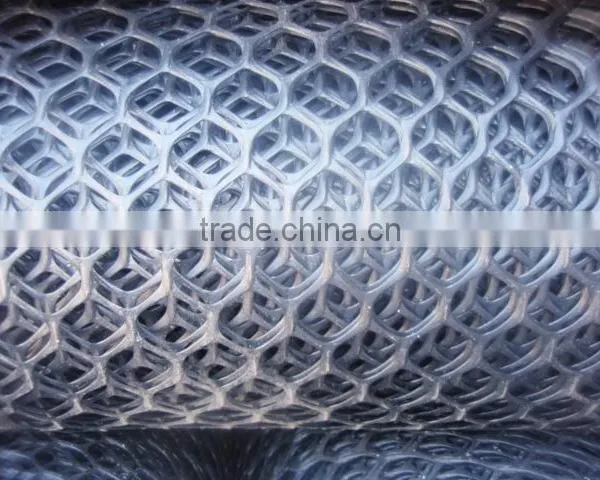 Anti Bird Net/Extruded Plastic Netting photo-2