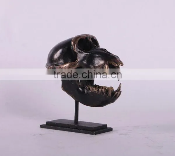 Macaque Skull on Base photo-3