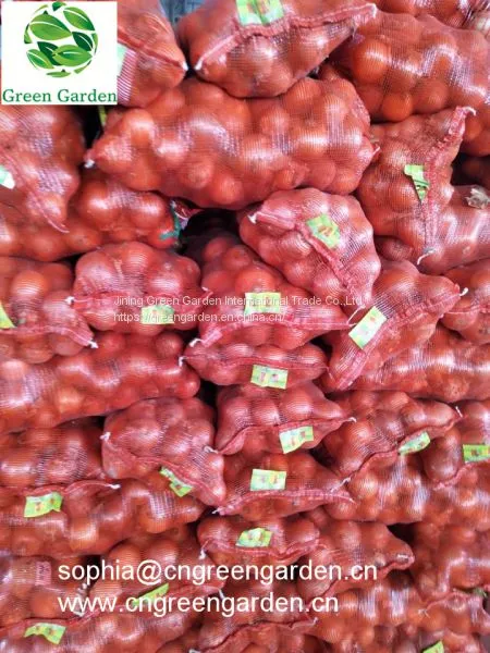 Fresh Yellow Onions photo-2