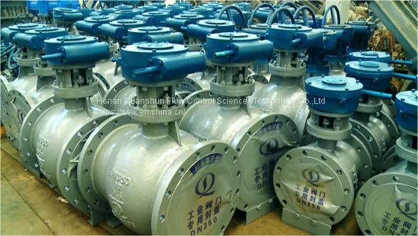 Eccentric Semi-ball Valve photo-5