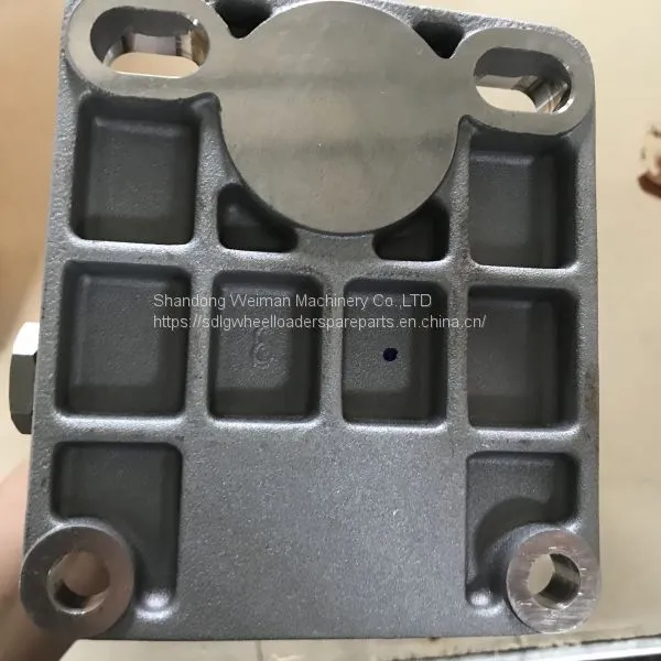 Original LG958L Wheel Loader Spare Parts 4110003115014 Fuel Pump photo-3