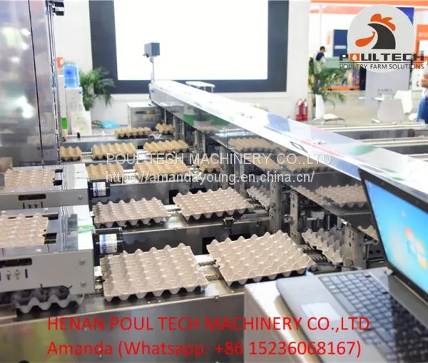 Automatic Egg Grading Equipment & Automatic Egg Packing Equipment photo-5