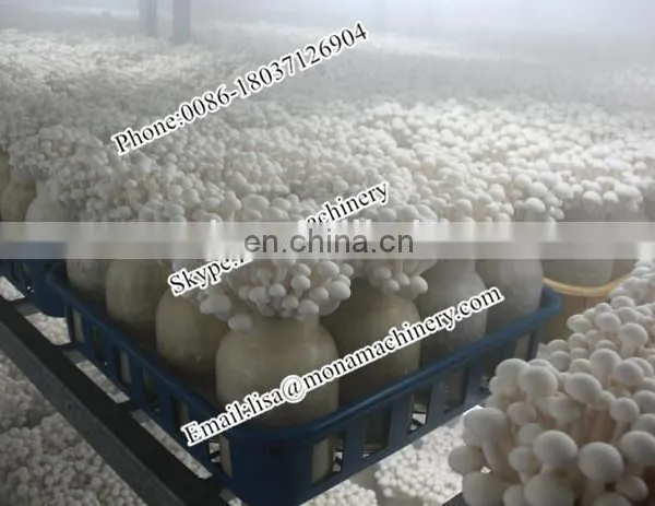Mushroom Growing Bag Packing Machine/sawdust Filling Machine/sawdust Bagging Machine photo-5