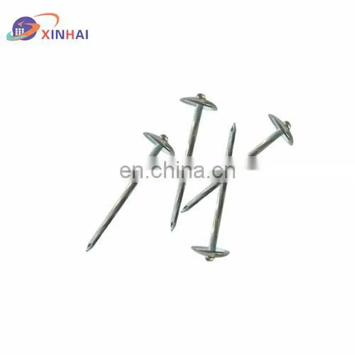 Roof Nail photo-5
