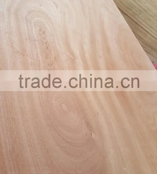 Commercial Plywood photo-4