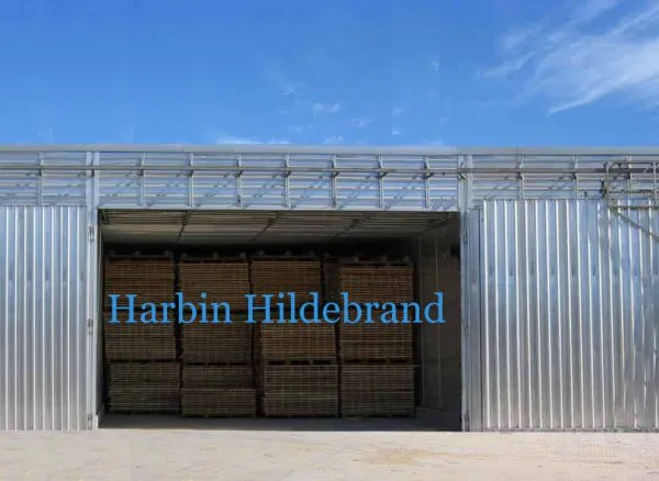 Germany Joint Venture Conventional Timber Dry Kiln, Kiln Dryer for Wood Dry Kilns photo-5