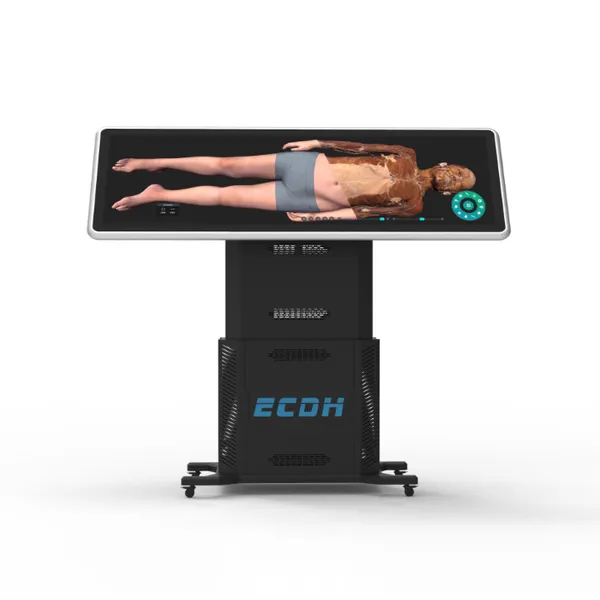 Medical 3D Virtual Anatomy Platform Human Body Dissection Teaching Table