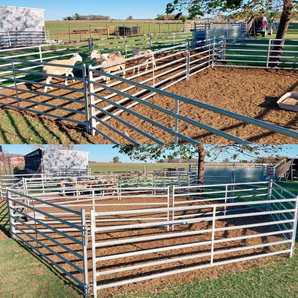 Wholesale Heavy Duty Galvanized Livestock Cattle Panel Corral Panels photo-2