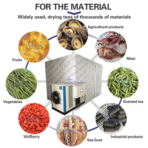 Industrial Electric Fish Dryer Food Dryer Meat Dried Fish Machine Fish Drying Machine photo-3