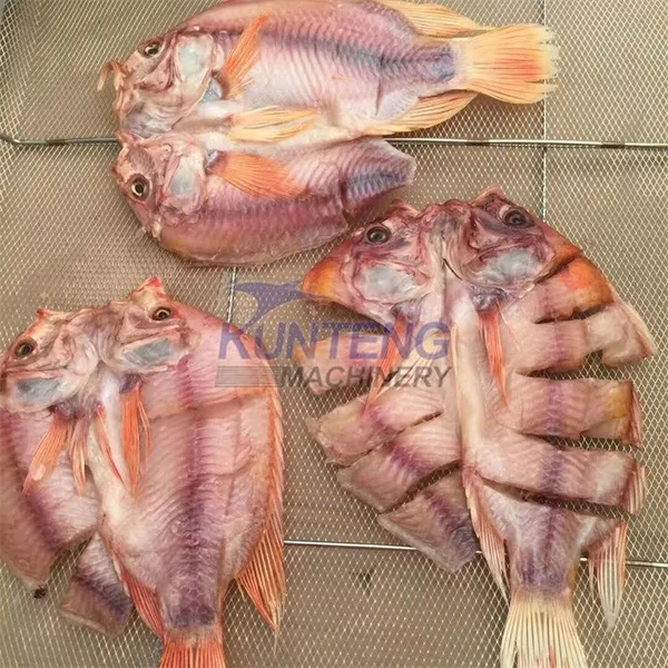 Fish Dryer Sardine Fish Steam Dryer Machine Fish Slice Catfish Tilapia Tray Dryer EPC photo-5
