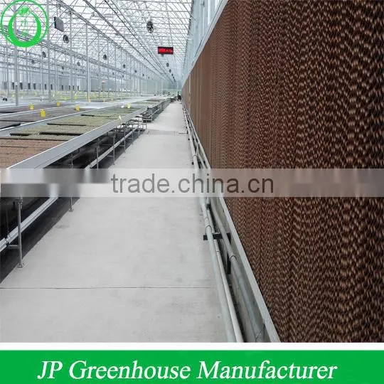 JP Natural Ventilation Greenhouse photo-2