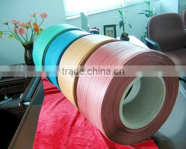 pp Strapping photo-4