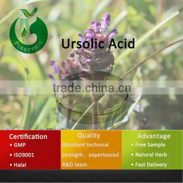 Low Price Ursolic Acid /Ursolic Acid Powder