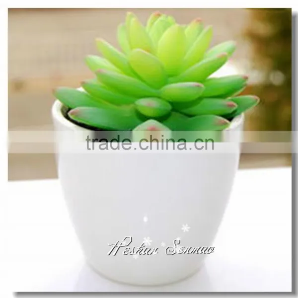 Pvc Material and Succulent Plants Plant Type Artificial Succulent Plants photo-2