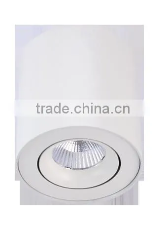 Modern White Adjustable Surface Mounted Ceiling Light photo-2