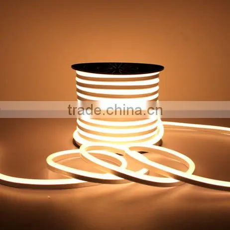 2700K Led Neon 240V 120V 24V 12V photo-4